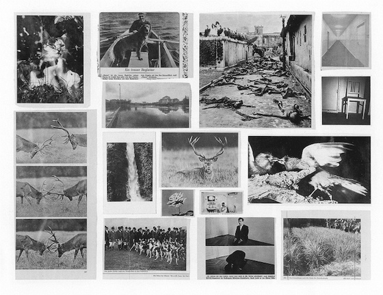 «Атлас» Герхарда Рихтера: Аномический архив