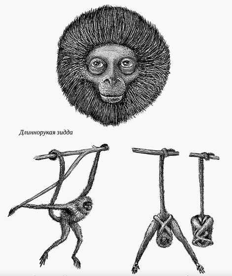 «Мысль, когда она отторгает от себя человеческое, рождает монстра»