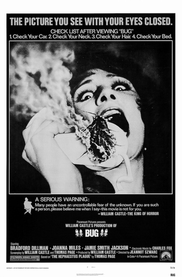 Стать мухой: Наблюдая за насекомыми через экраны людей